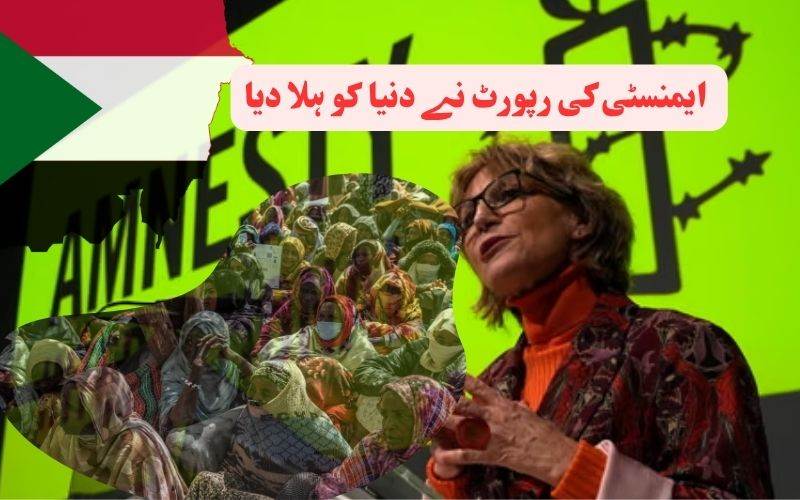 الفشرمیں انسانیت کے خلاف جرائم کا الزام: ایمنسٹی کی رپورٹ